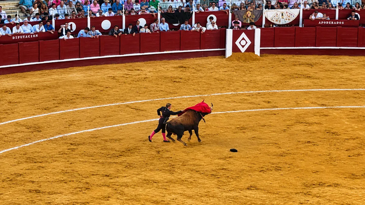 I Went To A Bullfight In Málaga And Left With More Questions Than I Arrived With