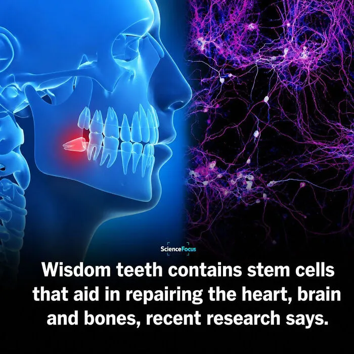 If You Like Learning Random Knowledge, Here Are 65 Interesting Facts For You