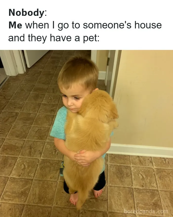 134 Memes That Make A Strong Case For Animals Being The Funniest Part Of The Internet