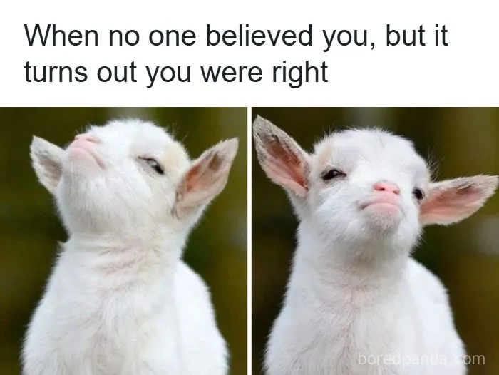 134 Memes That Make A Strong Case For Animals Being The Funniest Part Of The Internet