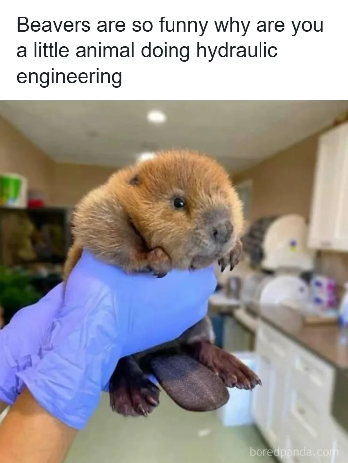 82 Funny And Cringey Science Memes That Crack 764K People Up Every Day (New Pics)