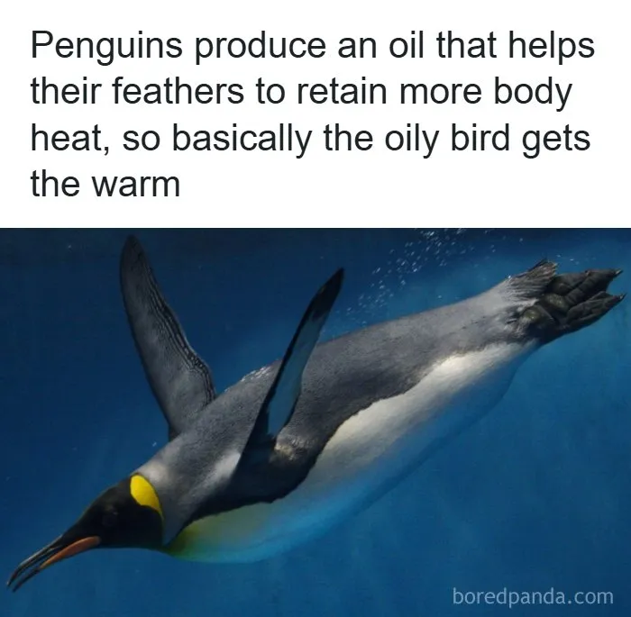 82 Funny And Cringey Science Memes That Crack 764K People Up Every Day (New Pics)