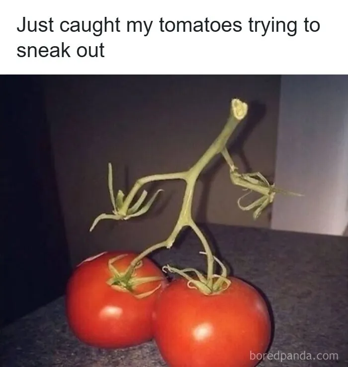 75 Funny Pictures That Somehow Keep Getting Weirder By The Second