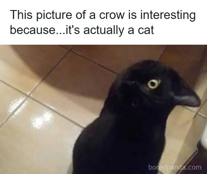 See Subreddit Name