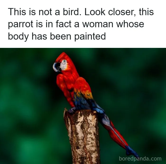 Beautiful, Had To Stare For A While