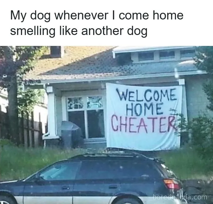 80 ‘Meme Queen’ Posts That Are Basically A Group Therapy Session With Better Jokes
