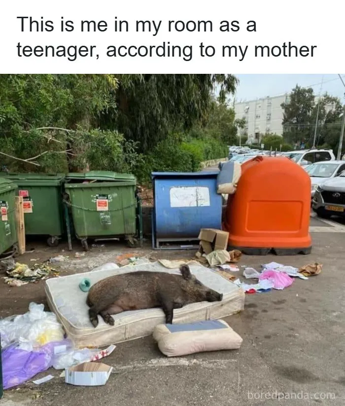 134 Memes That Make A Strong Case For Animals Being The Funniest Part Of The Internet
