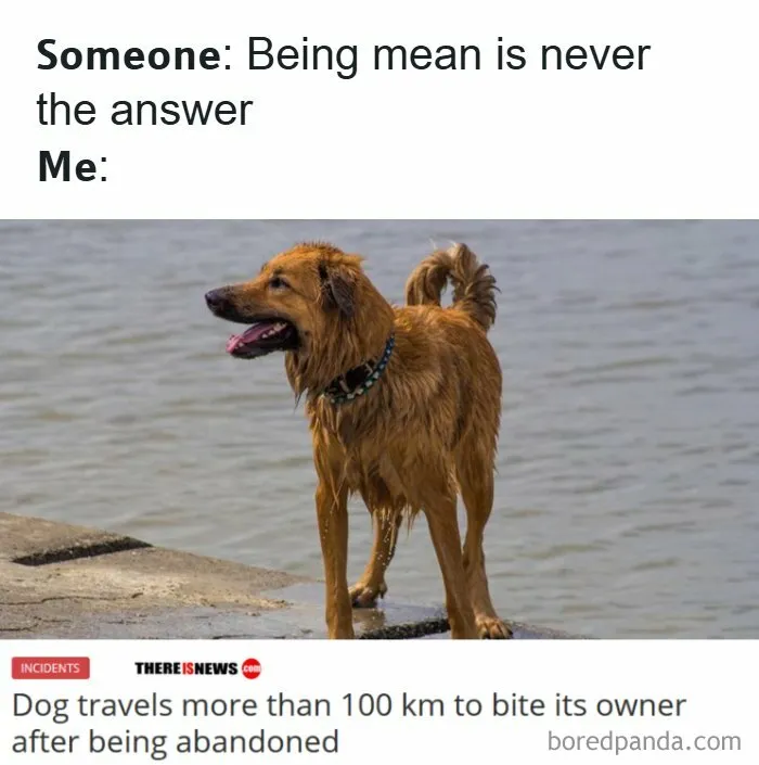 134 Memes That Make A Strong Case For Animals Being The Funniest Part Of The Internet