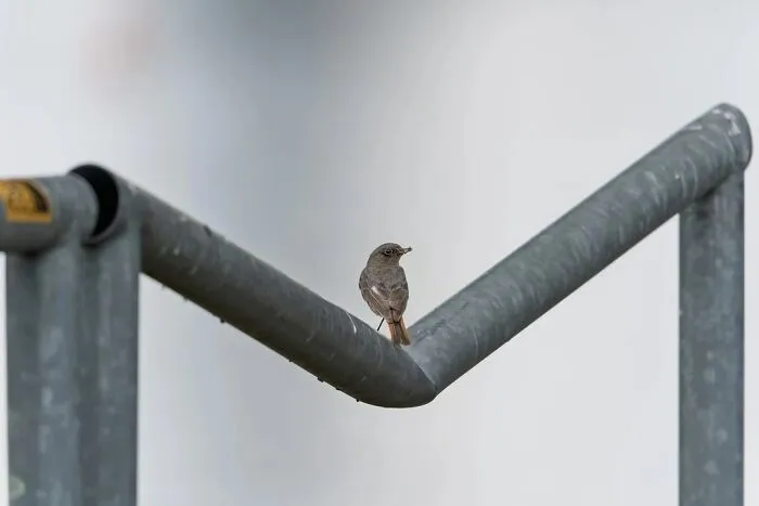 51 Times Nature Delivered The Most Wholesome Moments Ever Photographed