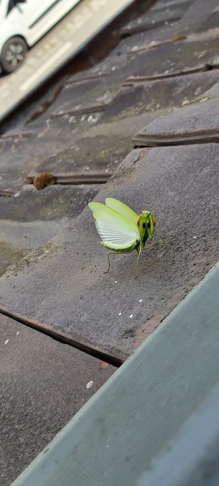51 Times Nature Delivered The Most Wholesome Moments Ever Photographed