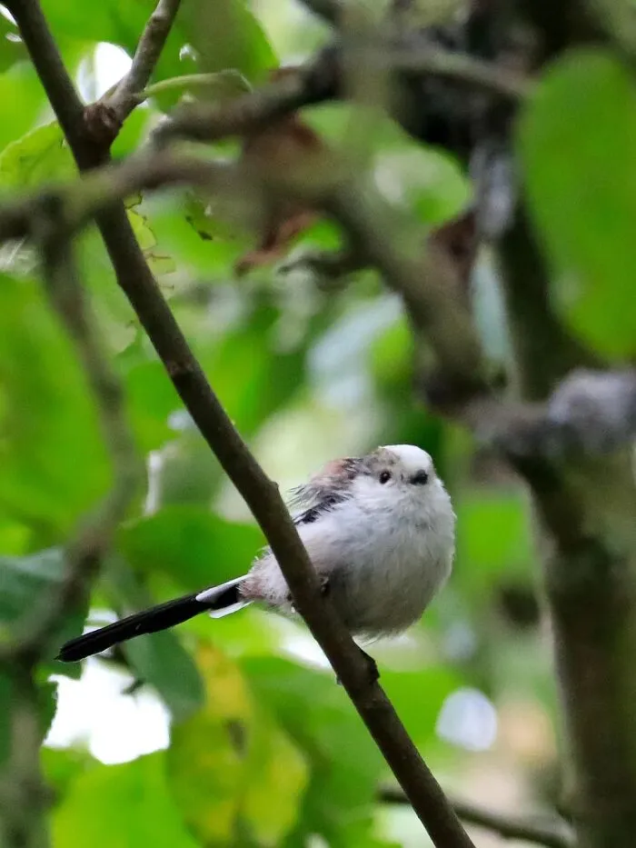 51 Times Nature Delivered The Most Wholesome Moments Ever Photographed