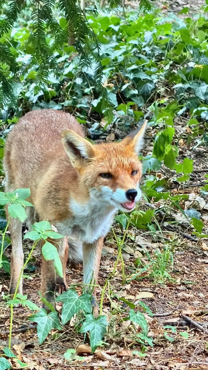51 Times Nature Delivered The Most Wholesome Moments Ever Photographed