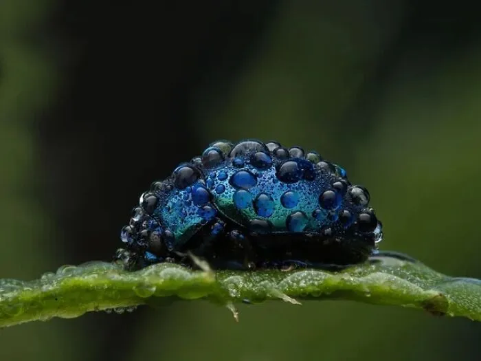 51 Times Nature Delivered The Most Wholesome Moments Ever Photographed