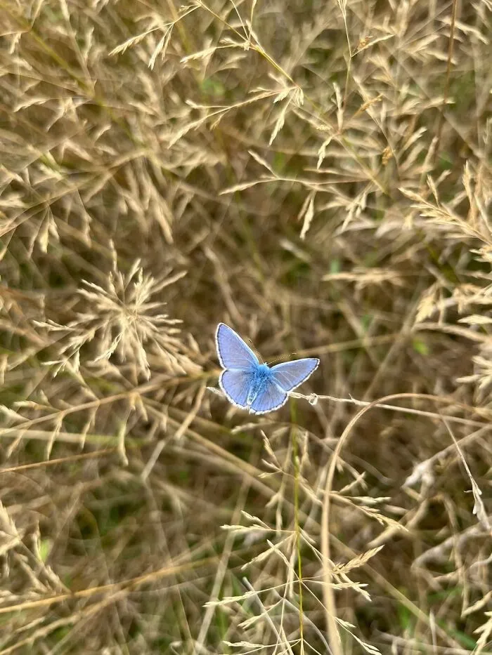 51 Times Nature Delivered The Most Wholesome Moments Ever Photographed