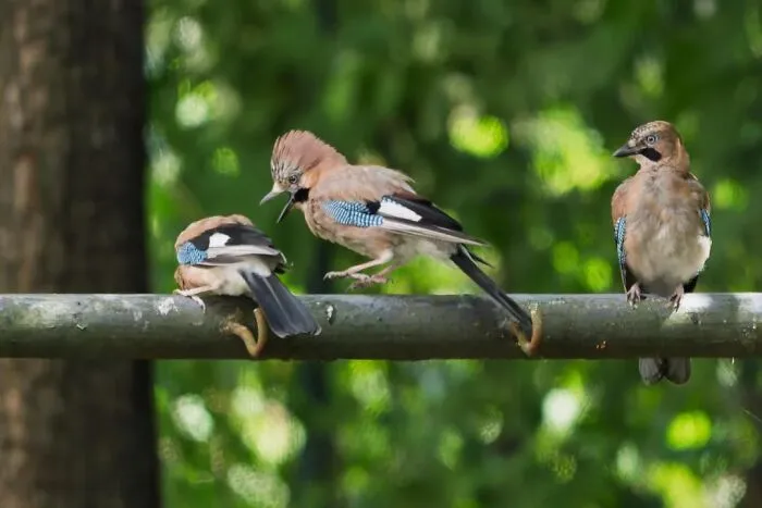 51 Times Nature Delivered The Most Wholesome Moments Ever Photographed