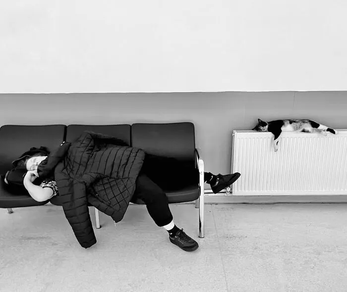 People, Cats, And Perfect Timing: Sami Uçan's 25 New Street Photos