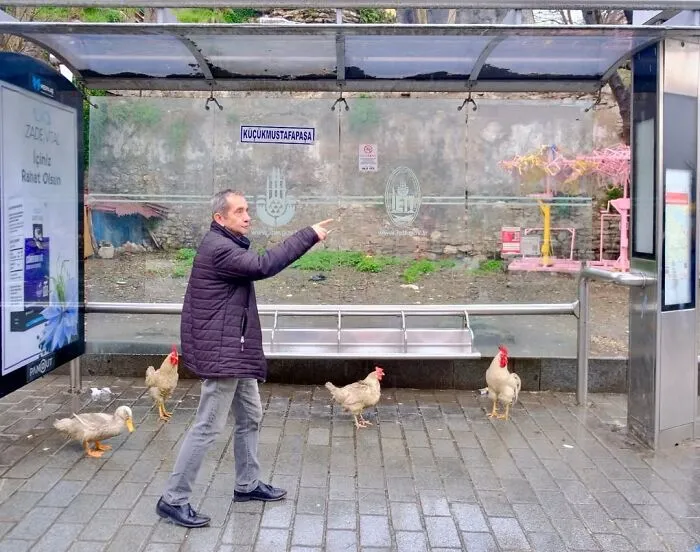 People, Cats, And Perfect Timing: Sami Uçan's 25 New Street Photos