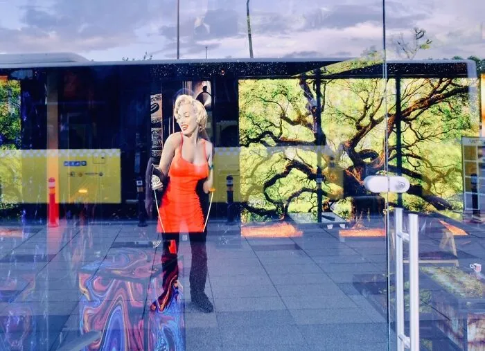 People, Cats, And Perfect Timing: Sami Uçan's 25 New Street Photos