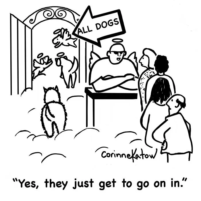 40 Clever One-Panel Comics By Corinne Katow That Turn Everyday Moments Into Brilliant Punchlines