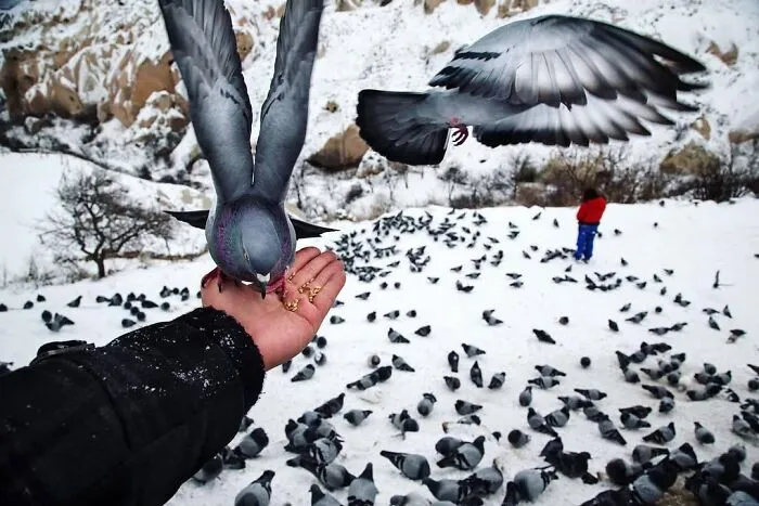 People, Cats, And Perfect Timing: Sami Uçan's 25 New Street Photos