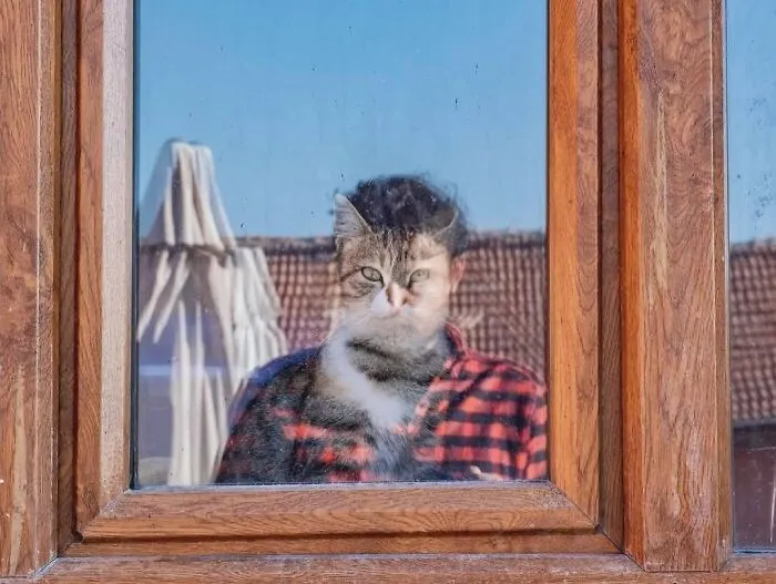 People, Cats, And Perfect Timing: Sami Uçan's 25 New Street Photos