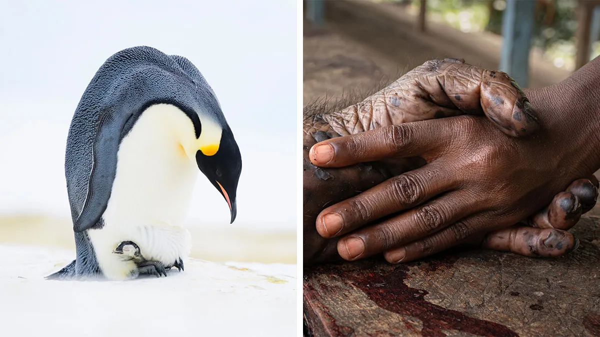 25 Captivating Photos That Might Make You See The Natural World Differently, Shared By GDT