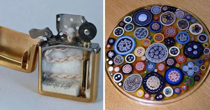 People Cut 86 Everyday Things In Half Showing Strange And Fascinating Insides
