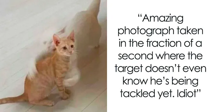 82 Hilarious Posts From People Who Were Using Tumblr For The Right Reasons (New Pics)