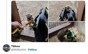 28 Insults And Comments That Are So Accurate It’s Hard Not To Laugh