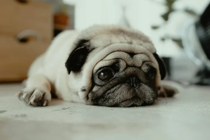 “How Did You Realize It Was Time To Break Up?”: 67 People Spill The Tea About Their Breakups