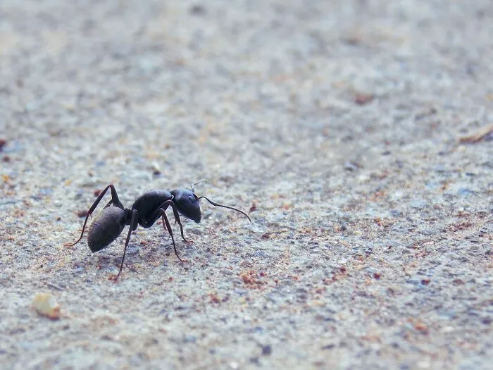 50 Science Facts So Terrifying, You May Wish You Never Learned Them