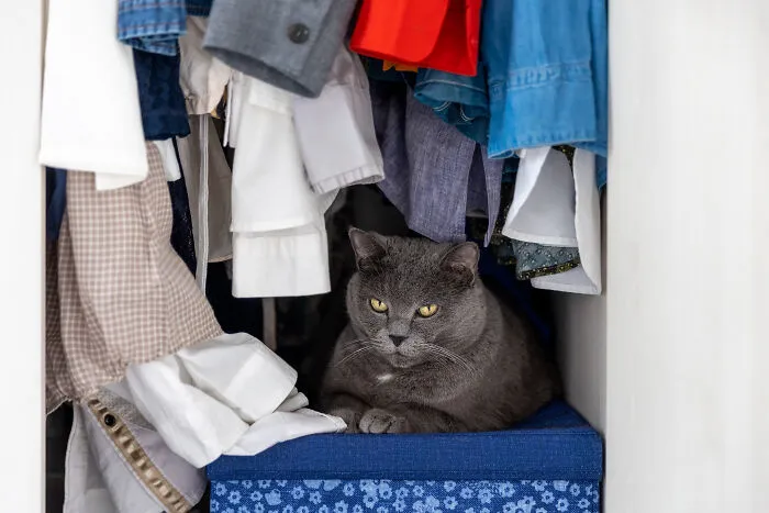 82 Ridiculous House Rules That Somehow Became Sacred Law In These Families
