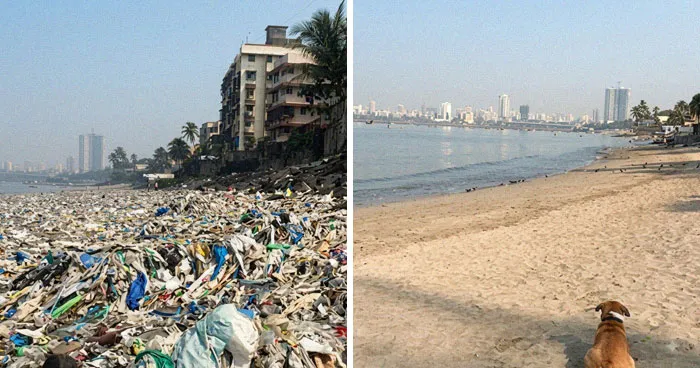 “The Real Trash Are The People”: As Trash Takes Over The World, These Folks Should Be The Real Influencers