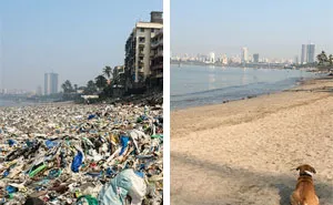 80 “Detrashed” Photos That Are Both Satisfying And Depressing