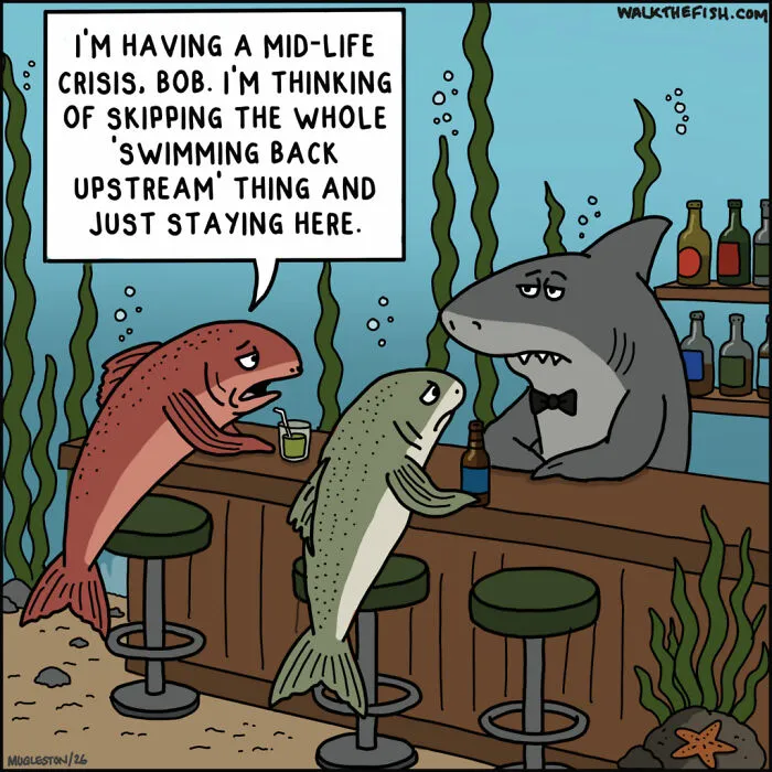 30 Dry Humor Comics By This Artist That Take Everyday Situations In The Strangest Directions