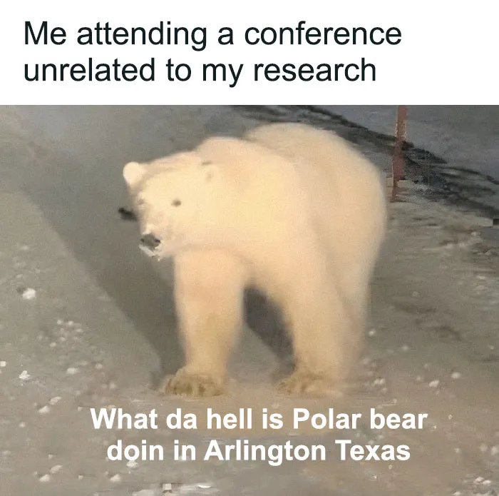 82 Memes That Might Convince You To Not Get That PhD If You’re Still On the Fence