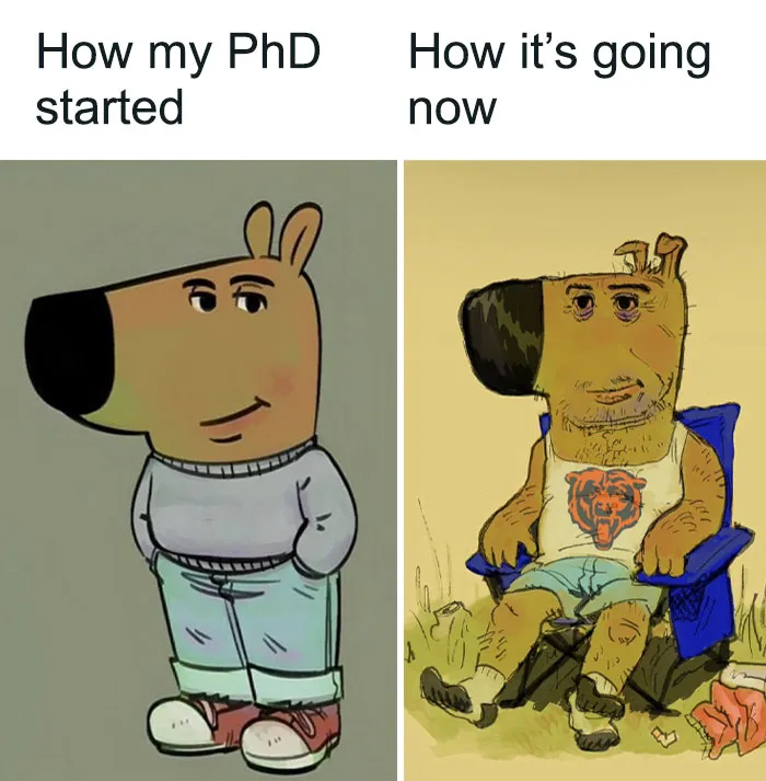 82 Memes That Might Convince You To Not Get That PhD If You’re Still On the Fence