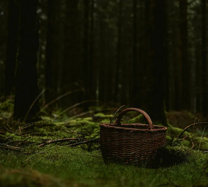 “Creeps Me Out”: 58 People Reveal The North American Folklore That Still Gives Them Chills