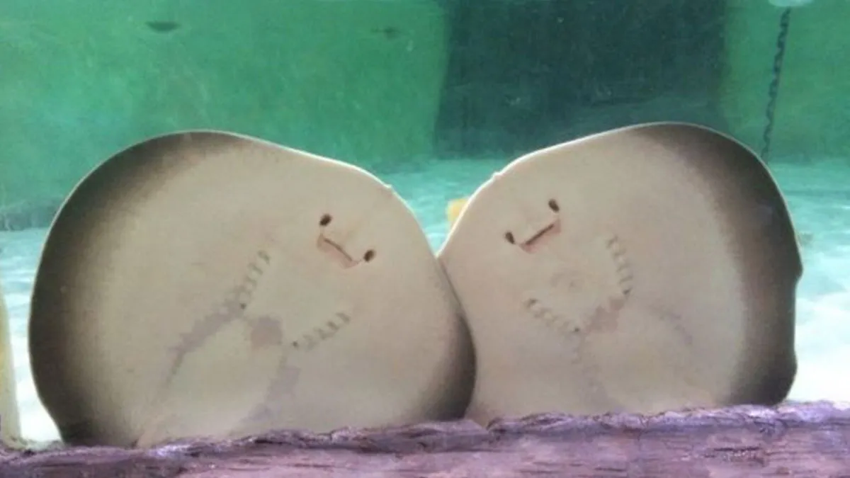 Sometimes The Internet Gets It Right, Here Are 63 Oddly Wholesome Images To Prove It