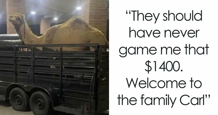 Sometimes The Internet Gets It Right, Here Are 63 Oddly Wholesome Images To Prove It