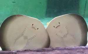 Sometimes The Internet Gets It Right, Here Are 63 Oddly Wholesome Images To Prove It