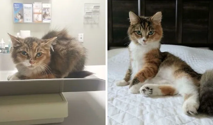 Lilly’s Transformation - Almost A Year Apart