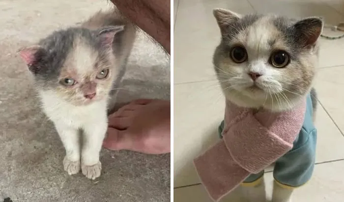 Now She Has A Completely Different Life And I’m So Happy