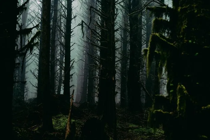 “Creeps Me Out”: 58 People Reveal The North American Folklore That Still Gives Them Chills