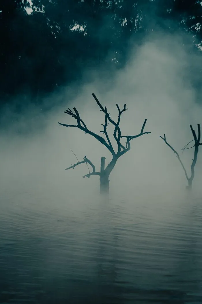 “Creeps Me Out”: 58 People Reveal The North American Folklore That Still Gives Them Chills