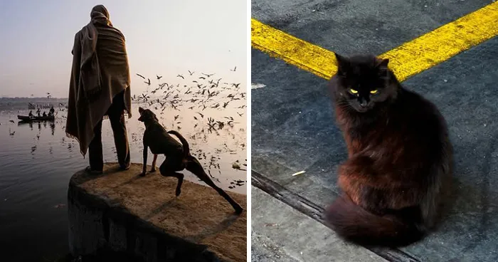 32 Stunning Photographs By This Artist That Turn Fleeting Moments Into Visual Stories