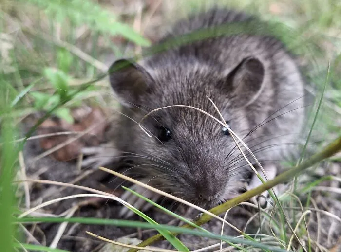 51 Times Nature Delivered The Most Wholesome Moments Ever Photographed