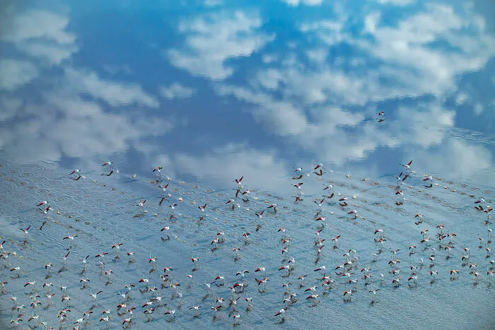 Aerial / Drone, 3rd Place: Reflection By Erfan Samanfar