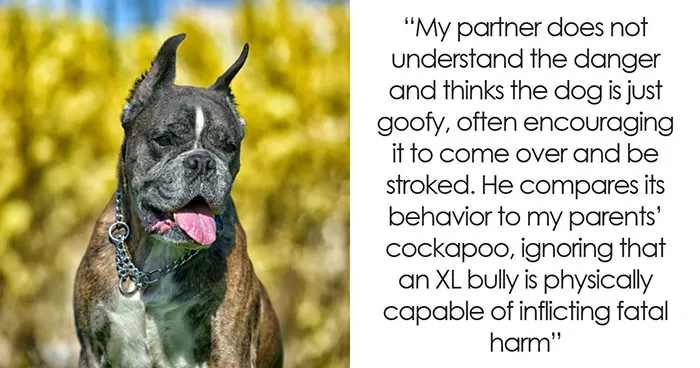 Guy Brushes Off His Pregnant GF’s Fears About Neighbor’s Unleashed XL Bully, She Feels Devastated