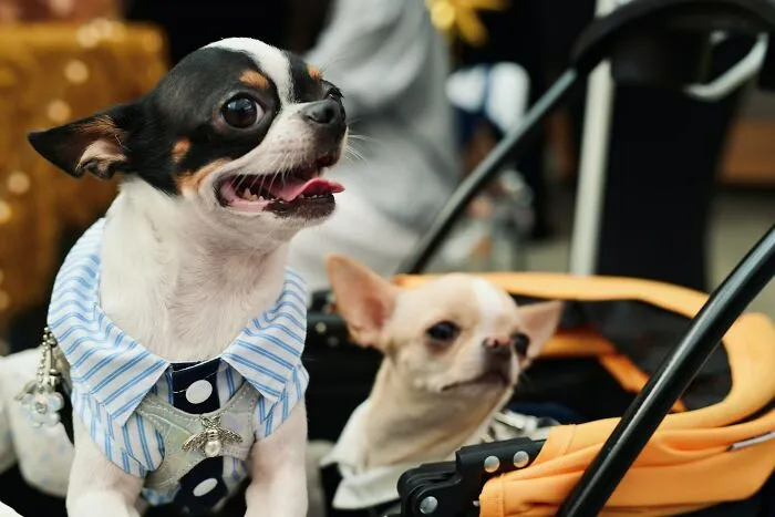 66 Crazy Stories About Working In “Rich People Environments,” As Told By The Employees Themselves